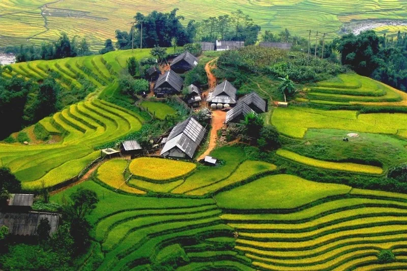 Half-Day Sapa Trekking Tour to Lao Chai & Ta Van